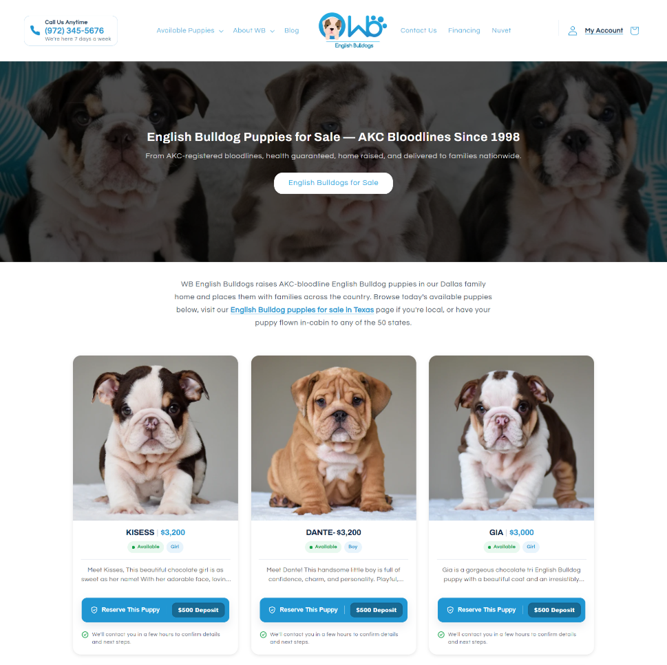 WB English Bulldogs storefront showing available puppies and reservation entry point